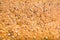 Background texture of a seeded loaf of bread