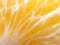 Background or texture from slice of orange and burns. Orange bright color. Vitamins. Citrus.