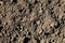 Background or texture of soil in rural. Black earth, humus.