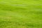 Background texture surface lawn colorful