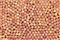 Background texture of tightly packed wine corks