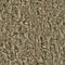 Background texture tree. seamless texture