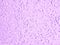 background texture, wall with plaster and paint light purple