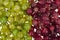 Background, texture, wallpaper from berries of garden gooseberries