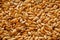 Background texture of white flax seeds. Useful cereals.