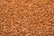 Background texture of whole grains of buckwheat. Image food product porridge buckwheat grains.