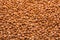 Background texture of whole grains of buckwheat. Image food product porridge buckwheat grains.