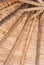Background texture of a wooden sunshade on the beach