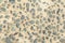 Background/textures of grey pebbles