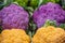 Background: three colors if cauliflowers kept in a shop for sale