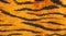 Background.tiger stripe pattern texture.