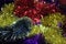 Background tinsel multicolored for Christmas