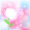 Background with transparent delicate flower