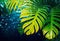 Background of tropical leaves with clear water in the background, concept of relaxation and cleanliness,