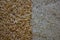 Background of two halves of white and brown rice. Two varieties of rice form two even halves of the background. Two
