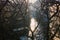 background view from prague. vltava river sparkling light among trees frame