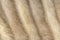 A background of vintage mink fur .Background texture in neutral tones suitable for Animal Cruelty or luxury goods projects