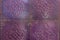 Background of vintage purple ceramic tile