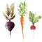 Background wallpaper texture root vegetables vegan vegetarian
