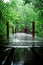 Background,Wallpaper,Tungprongthong,mangrove forest located at rayong thailand,cloud sky