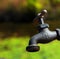 Background Water Spigot WFT