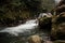 Background of the water of the wild moutain river falling from the moss covered stones