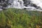 Background of a waterfall with green algae