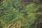 Background of a waterfall with green algae and stone, macro