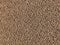 Background of wet sand with pores. Beach sand seamless pattern.