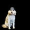 Background with White Dog Wearing Black-rim Glasses and Fedora