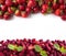Background of wildberries and strawberries. Ripe wild strawberry on a white. Wild strawberries and strawberries at border with cop