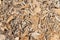 Background of wood chippings