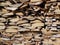 Background of wooden boards arranged end faces