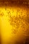 Background with yellow beer