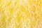 A background of yellow nylon strands.
