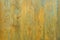 Background of yellow old smooth Wooden texture