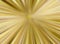 Background zoom gold yellow texture abstract