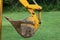 Backhoe shovel