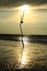 Backli dead limb silhouette on Mukah seaside in the evening sunlight.