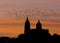 Backlight of a flock of birds on the towers of the cathedral of Salamanca