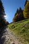Backlit autumn mountain path