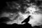 Backlit birds black and white background