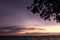 Backlit branches and purple and yellow sky and sea in evening time