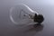 Backlit bulb