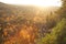 Backlit cliff and pines with lens flare above trees in fall colo