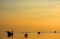 Backlit fishing boats on ocean