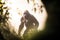 backlit gorilla figure through dense mist