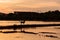 Backlit image of the sunset views of rice fields and a dog walking