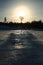 Backlit image of tree with reflections on frozen ground