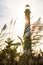 Backlit lighthouse and beach grass - Selective focus